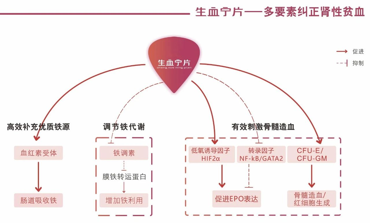 好博(中国)体育智能科技股份有限公司网站