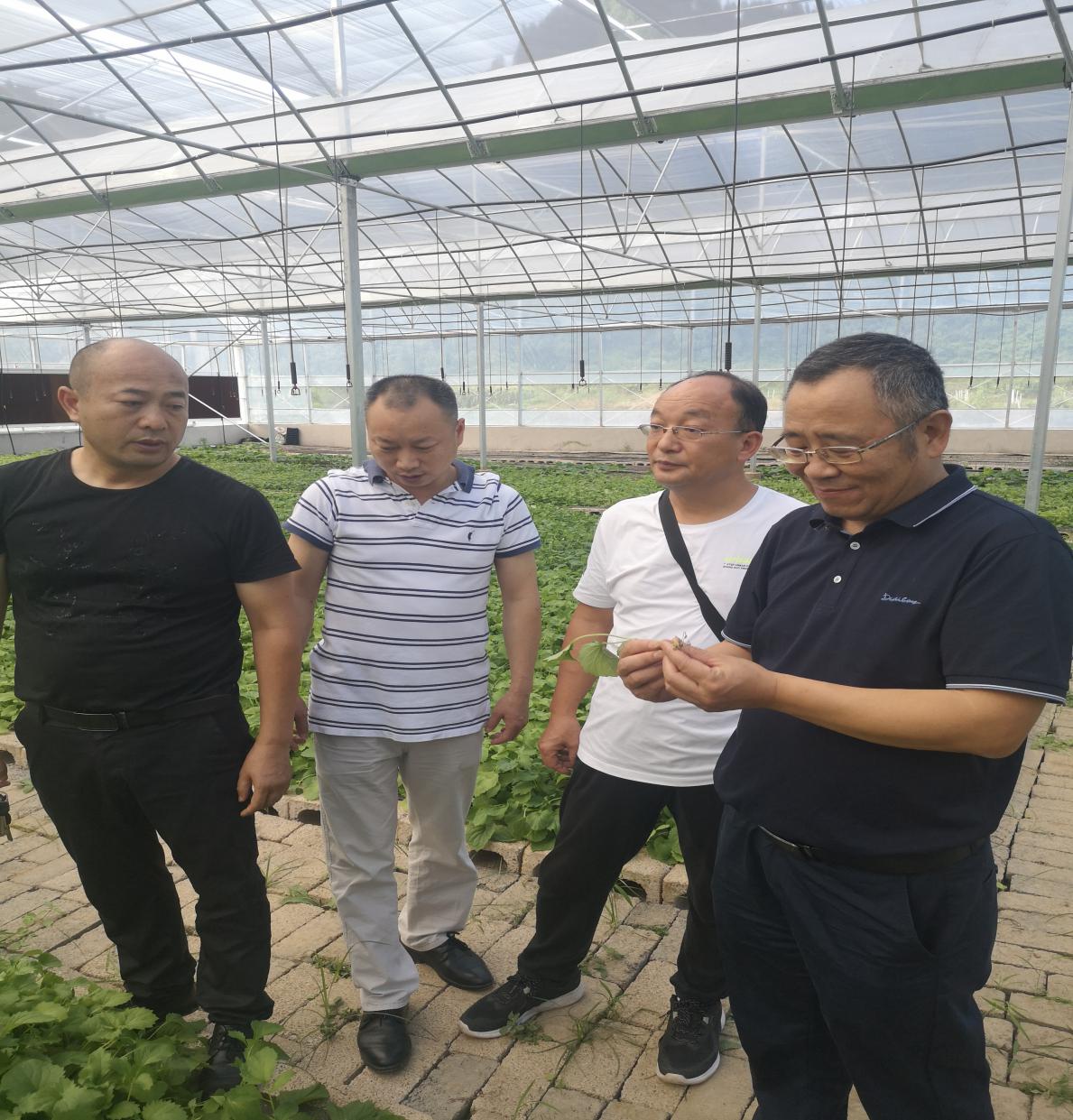 好博(中国)体育智能科技股份有限公司网站