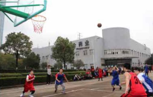 员工风范 - 好博体育 